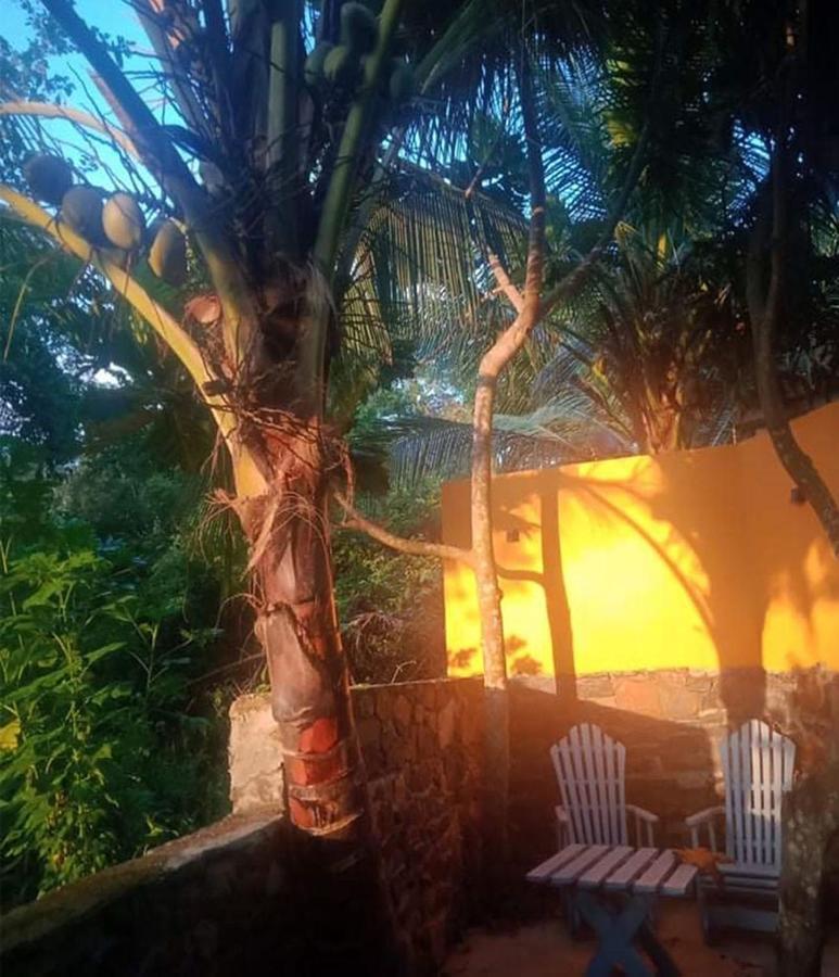 View Guesthouse & Bistro At Goyambokka Tangalle Zewnętrze zdjęcie