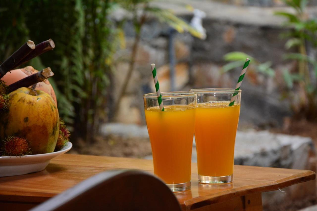 View Guesthouse & Bistro At Goyambokka Tangalle Zewnętrze zdjęcie